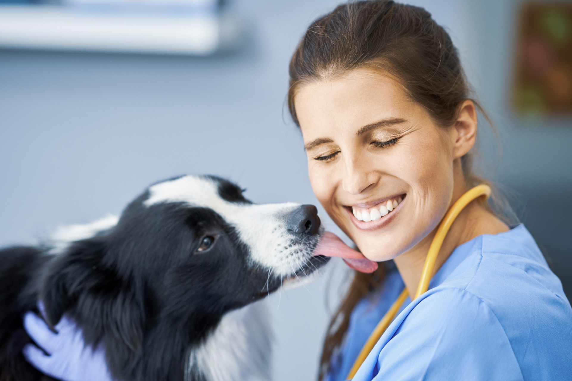 Veterinarian performing a clinical examination — diagnostic equipment in use
