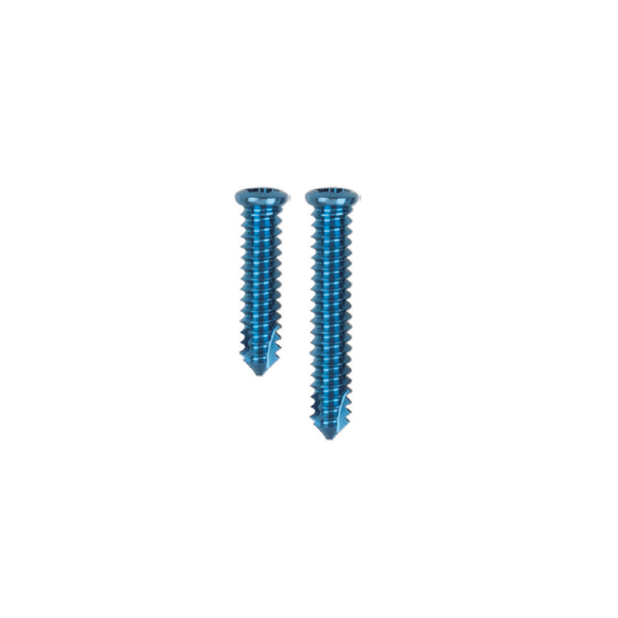 alps locking screw 2 4mm
